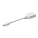 Cable Mini DP Macho a DP Hembra | Thunderbolt 2 | Version DP 1.2 | Soporta 4K*2K | Cable de 15 cm (5.91 Pulgadas) | Color ...