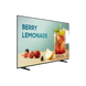 Televisor Smart Business / 43 Pulgadas / 4K UHD / Panel E-LED 300 nit / Wi-Fi 5 y Bluetooth 5.3 / Operación 16/7 / HDR10+ / Sonido 20W | SIERRA STORE