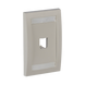 Placa de Pared Vertical Ejecutiva, Salida Para 1 Puerto Mini-Com, Con Espacios Para Etiquetas, Color Blanco Mate PANDUIT -...