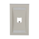 Placa de Pared Vertical Ejecutiva, Salida Para 1 Puerto Mini-Com, Con Espacios Para Etiquetas, Color Blanco Mate - PANDUIT