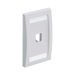 Placa de Pared Vertical Ejecutiva, Salida Para 1 Puerto Mini-Com, Con Espacios Para Etiquetas, Color Blanco - PANDUIT