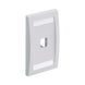 Placa de Pared Vertical Ejecutiva, Salida Para 1 Puerto Mini-Com, Con Espacios Para Etiquetas, Color Blanco - PANDUIT