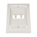 Placa de Pared Vertical Ejecutiva, Salida Para 2 Puertos Mini-Com, Con Espacios Para Etiquetas, Color Blanco Mate - PANDUIT