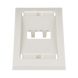 Placa de Pared Vertical Ejecutiva, Salida Para 2 Puertos Mini-Com, Con Espacios Para Etiquetas, Color Blanco Mate - PANDUIT