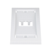 Placa de Pared Vertical Ejecutiva, Salida Para 2 Puertos Mini-Com, Con Espacios Para Etiquetas, Color Blanco - PANDUIT