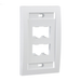 Placa de Pared Vertical Ejecutiva, Salida Para 4 Puertos Mini-Com, Con Espacios Para Etiquetas, Color Blanco PANDUIT - Vis...