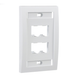 Placa de Pared Vertical Ejecutiva, Salida Para 4 Puertos Mini-Com, Con Espacios Para Etiquetas, Color Blanco PANDUIT - Vis...