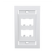 Placa de Pared Vertical Ejecutiva, Salida Para 4 Puertos Mini-Com, Con Espacios Para Etiquetas, Color Blanco - PANDUIT