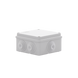 Caja Estanca de PVC Para Derivación y Conexión, 6 Entradas, Tapa Atornillada,100x100x50 mm (Área Interna), Uso Exterior IP...