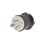 Clavija Industrial con Bloqueo de Media Vuelta / 20 A 125 V CA / 2 Polos 3 Hi...