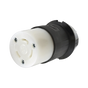 Conector Industrial con Bloqueo de Media Vuelta / 30 A 250 V CA / 2 Polos 3 H...