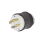 Clavija con Bloqueo de Media Vuelta Industrial 30 a 125/250 V CA / 3 Polos 4 ...