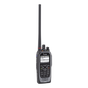Arquitectura Tipo D ICOM IC-F3400DT/01 GPS | Sierra Store