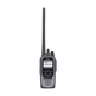Arquitectura Tipo D ICOM IC-F4400DS/11 UHF | Sierra Store