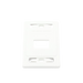 Placa de Pared Modular MAX, de 2 Salidas, Color Blanco, Versión Bulk (Sin Empaque Individual) SIEMON - Vista 2