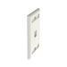 Placa de Pared Vertical, Salida Para 1 Puerto Keystone, Con Espacios Para Etiquetas, Color Blanco PANDUIT - Vista 4