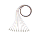 Kit de 12 Pigtails con Conector LC, Multimodo 50/125 OM4, 900um, de 1 Metro (3.28 Pies) - PANDUIT