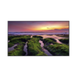 Pantalla Profesional LED de 55", UHD 4K (3840x2160p), Entradas de Video ...