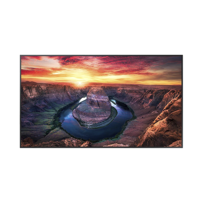 Pantalla Profesional LED de 55", UHD 4K (3840x2160p), Entradas de Video HDMI/DisplayPort / USO 24/7 / Compatible VESA / Co...