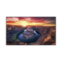 Pantalla Profesional LED de 55", UHD 4K (3840x2160p), Entradas de Video ...