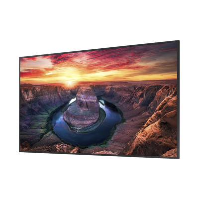 Pantalla Profesional LED de 65", UHD 4K (3840x2160p), Entradas de Video HDMI/DisplayPort, Bocinas Integradas de 10 W. Comp...