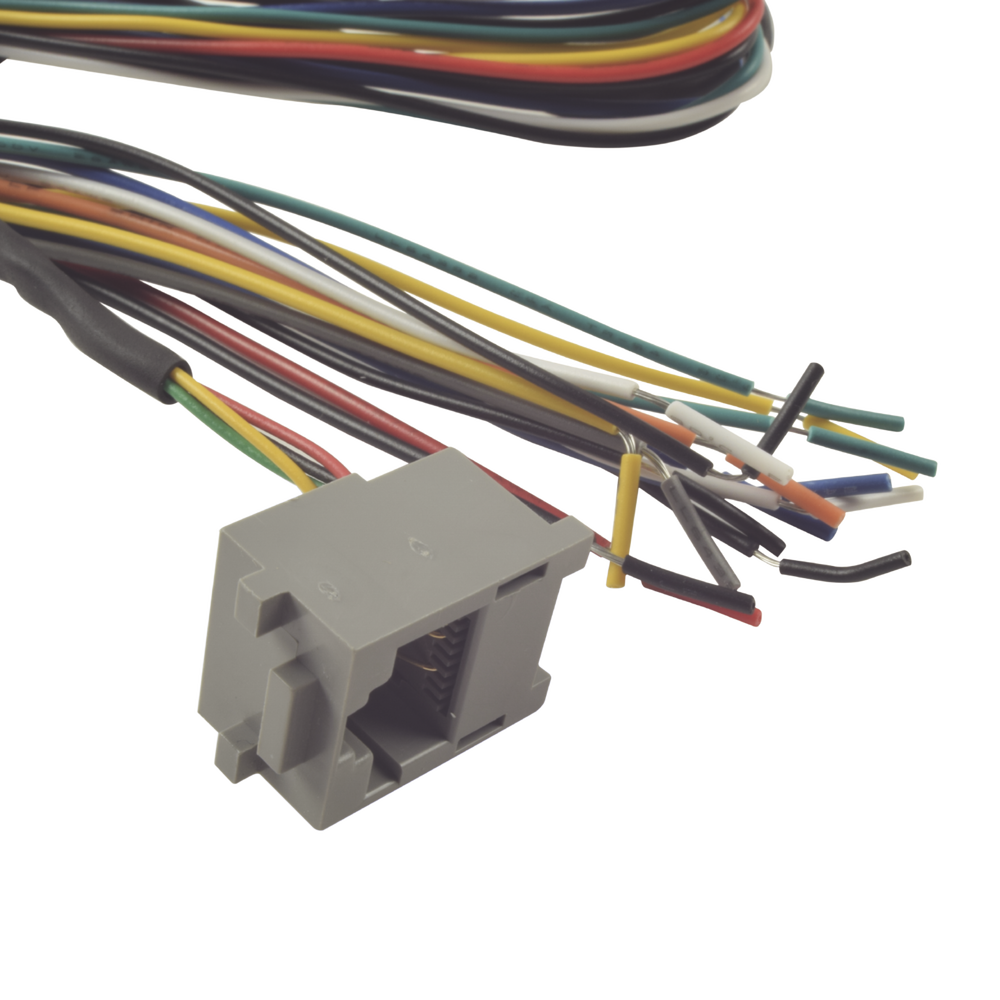 Juego de cables de conexion para Bioentry  plus | SIERRA STORE