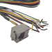 Juego de cables de conexion para Bioentry  plus | SIERRA STORE