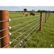 Alambre Polywire para Cercas Eléctricas / Diámetro 2.5 mm / Longitud 500 m por Rollo / Conductor Acero Inoxidable 6x0.15 mm / | SIERRA STORE