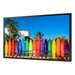 Pantalla Profesional LED 55" para uso en ventanales, HDMI | SIERRA STORE