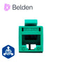 CONECTOR MODULAR JACK RJ45 CAT6 REVCONNECT BELDEN RV6MJKUGN-S1 ESTILO KEYCONN...