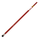 Pértiga Telescópica para Prueba de Detectores / Alcance 2.4 m (7.9 ft) / Extensible hasta 6 m (19.7 ft) / Fibra de Vidrio / Portátil / | SIERRA STORE
