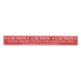 Etiqueta para tubería de detección por aspiración VESDA / rollo de 35 piezas / cumple NFPA 72 / No pintar | SIERRA STORE