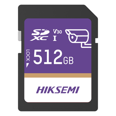 HS-SD-P10/512G/GUARDPRO