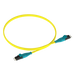 PANDUIT F92ERQ1Q1SNM003 - Jumper de Fibra Óptica / Monomodo OS2 9/125 µm / LC-LC Dúplex Push-Pull / OFNR Riser / 3 m (9.84 ft) / | SIERRA STORE