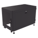 LINKEDPRO BY EPCOM LP-60100-12UR2 - Gabinete Profesional de Piso para Telecomunicaciones de 12UR, 1000 mm Profundidad, Se envía el | SIERRA STORE