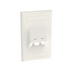 PANDUIT CFPSL2WHY - Placa de Pared Vertical / 2 Puertos Mini-Com Inclinados / ABS / 2.75 x 4.5 in / Con Etiquetas / Blanco | SIERRA STORE