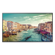 Pantalla Profesional LED de 43", UHD 4K (3840x2160p), Entradas de Video HDMI/DisplayPort/HDCP, Bocinas Integradas de 10 W. Compatible | SIERRA STORE