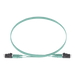 PANDUIT FX2ERLNLNSNM005 - Jumper de Fibra Óptica / Multimodo OM3 50/125 / LC-LC Dúplex / OFNR Riser / LSZH / 5 m (16.40 pies) | SIERRA STORE