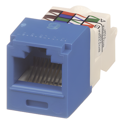 PANDUIT CJ688TPBU - Conector Jack RJ45 Estilo TP, Mini-Com, Categoría 6, de 8 posiciones y 8 cables, Color Azul | SIERRA STORE