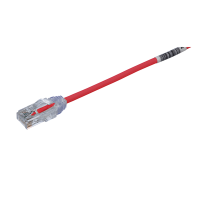 PANDUIT UTP28SP20RD - Cable de Parcheo / Cat6 / 28AWG / UTP / 6.1 m (20 pies) / Rojo / Diámetro Reducido | SIERRA STORE