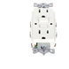 Contacto de Auto-verificación GFCI con Interruptor de Falla a Tierra de 15 A 125 V 2 Polos, 3 Hilos Color Blanco (Nema 5-15R), Grado | SIERRA STORE