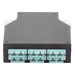 LINKEDPRO BY EPCOM LP-RDSCUMM - Distribuidor de Fibra Óptica / Riel DIN / 6 Acopladores SC/UPC / Multimodo / 24 Fusiones / 0.13 x 0.41 | SIERRA STORE