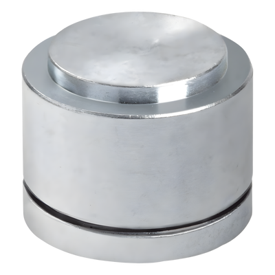 Tejuelo para Puerta Batiente / Carga 200 kg / Acero Galvanizado / 260,000 Ciclos / 0.37 kg | SIERRA STORE