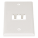 PANDUIT CFP2IW - Placa de Pared Vertical / 2 Puertos Mini-Com / 69.8 x 114.3 mm / 2.75 x 4.5 pulg. / Blanco Mate / ABS | SIERRA STORE