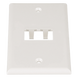 PANDUIT CFP2IW - Placa de Pared Vertical / 2 Puertos Mini-Com / 69.8 x 114.3 mm / 2.75 x 4.5 pulg. / Blanco Mate / ABS | SIERRA STORE