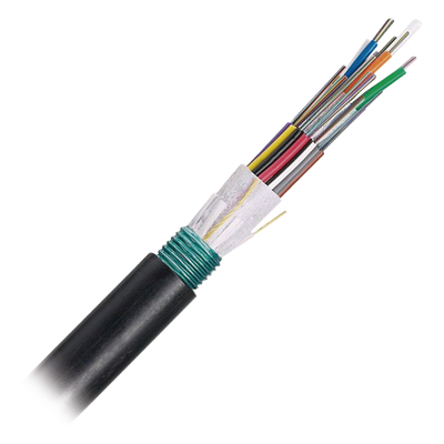 PANDUIT FSWN912 - Cable de Fibra Óptica / 12 Hilos / Monomodo OS2 / OSP Armada / 250μm / Bloqueo de Agua en Seco / Resistencia UV / | SIERRA STORE