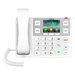 Teléfono IP / Pantalla 3.5 Pulgadas / Wi-Fi Dual Band / Botones Braille / Bluetooth 4.2 / PoE / 2 Líneas SIP | SIERRA STORE