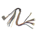 Juego de cables de conexion para Bioentry  plus | SIERRA STORE