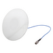 Antena DAS para techo / 608-2700 MHz / Bajo PIM -155 dBc / Diseño ultra-delgado traslúcido / Conector N hembra | SIERRA STORE