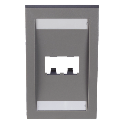 PANDUIT CFPE2IGY - Placa de Pared Vertical / 2 Puertos Mini-Com / Espacios para Etiquetas / 2.75 x 4.5 in / Gris | SIERRA STORE